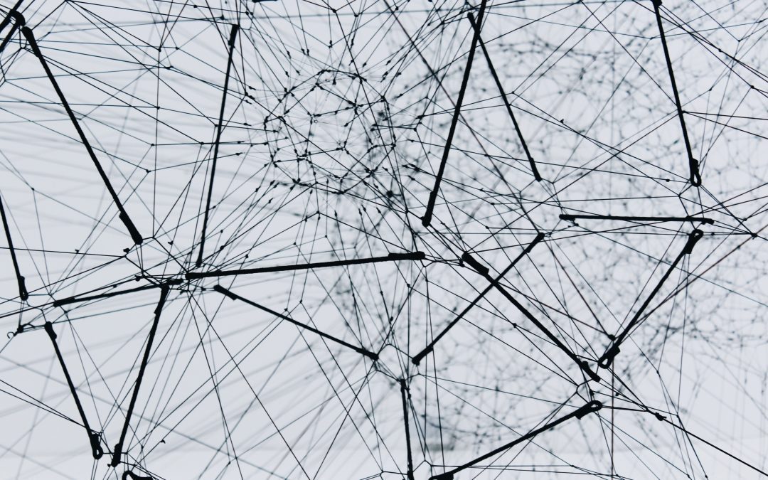 From gene list to gene network: Recognizing functional connections that regulate behavioural traits